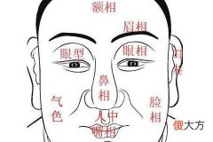 看鼻子面相算命大全图解