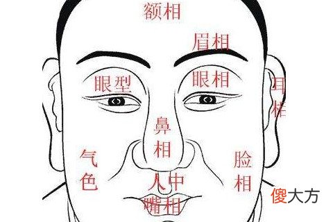 看鼻子面相算命大全图解