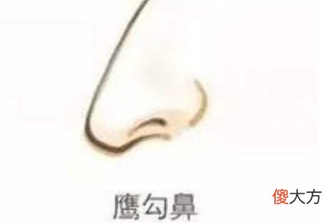 鹰钩鼻在面相中好不好
