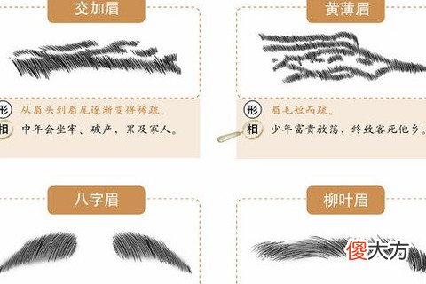 男人眉毛看相命运