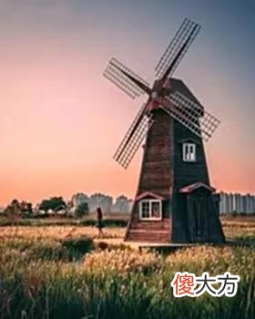 【历史故事】领土面积仅重庆一半大的荷兰有多强？