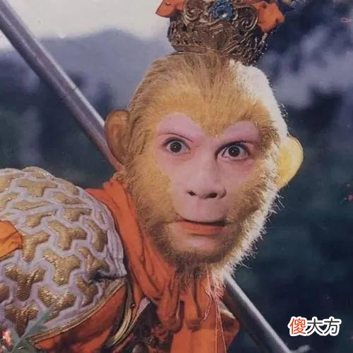 中的菩提祖师是如来佛祖了 如来佛祖就是菩提祖师