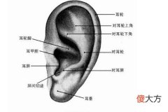 两只耳朵都有痣代表什么