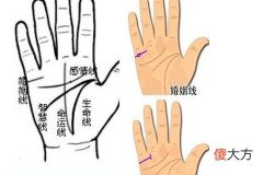 一生必有两次婚姻的手相类型