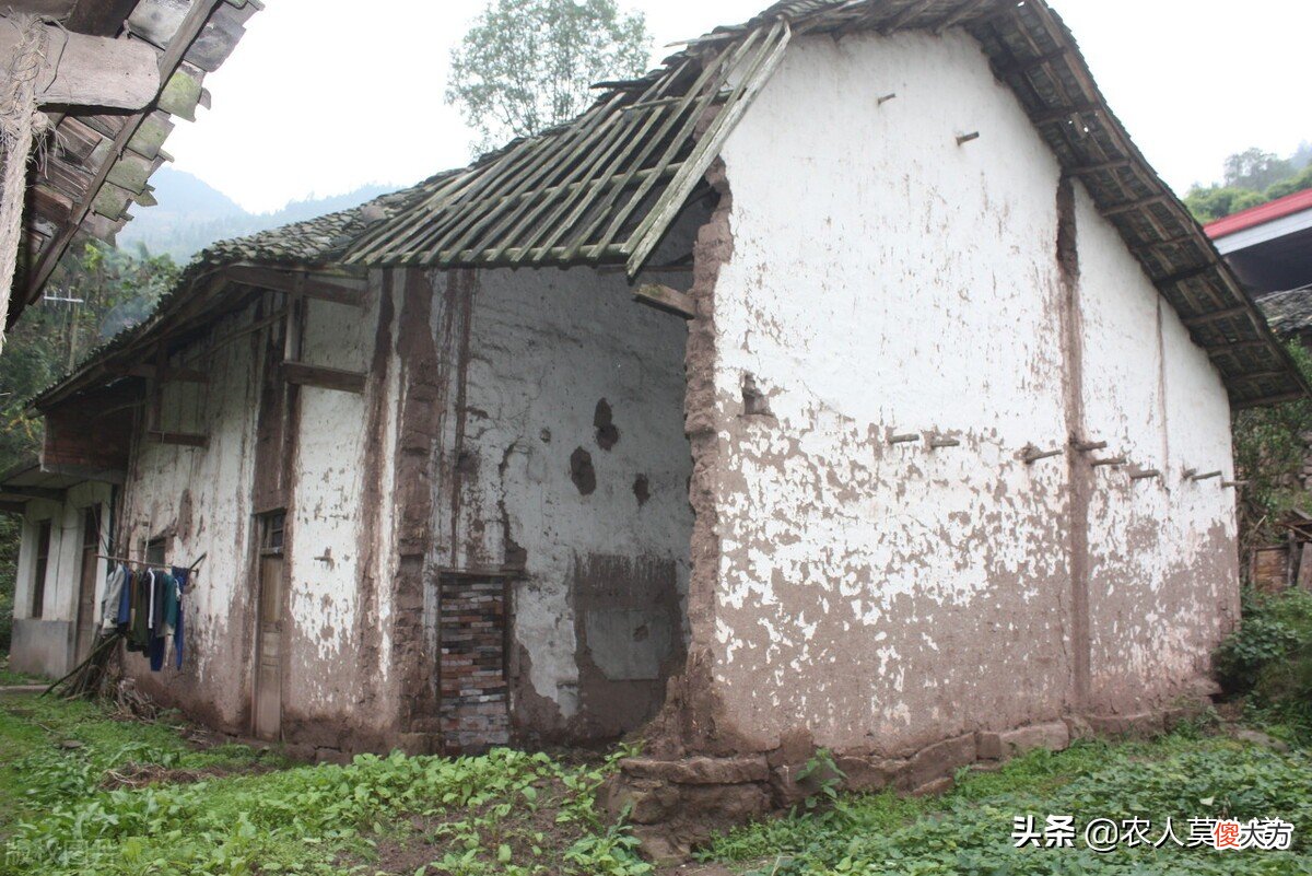不是农村户口的儿女还能使用吗 父母不是农村户口,孩子是农村户口