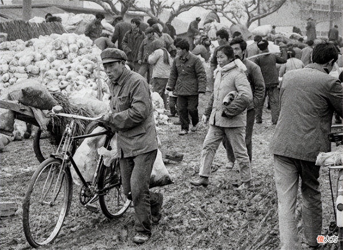 【历史故事】1951年，毛泽青被当成贪污犯，被迫无奈道：我是主席堂弟