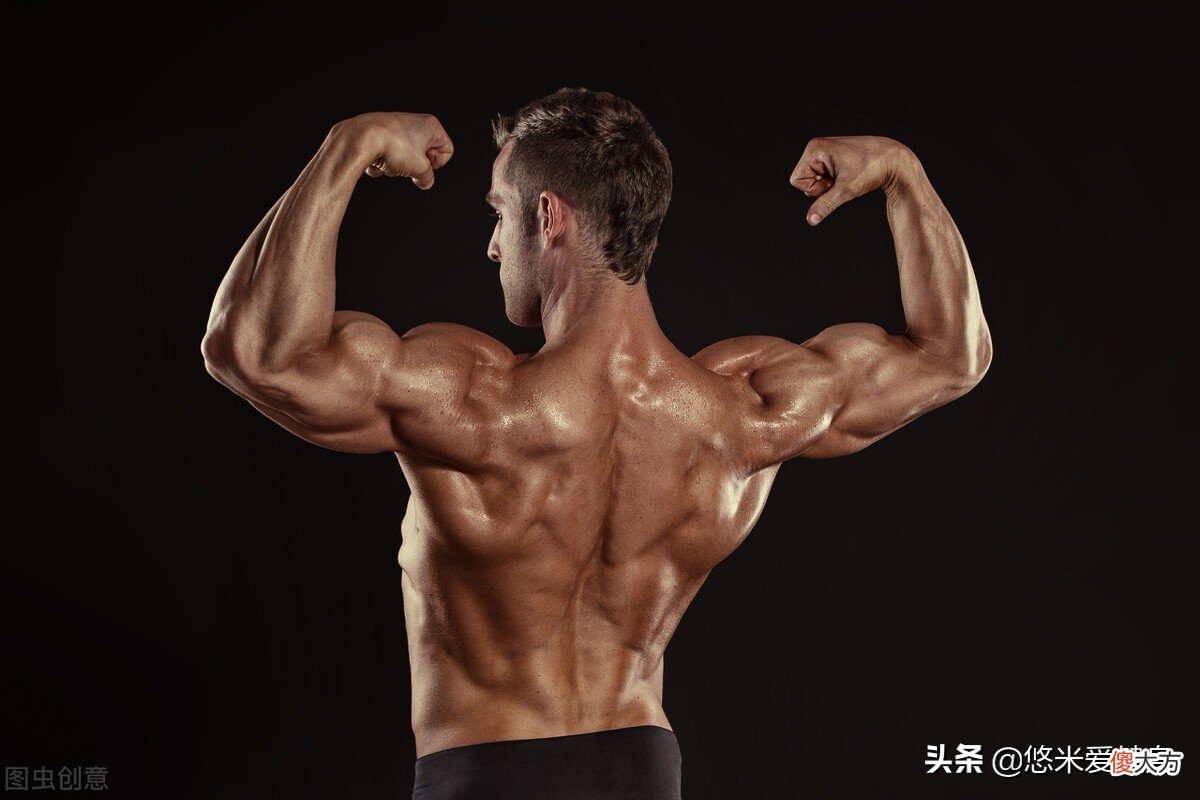 打造强壮有力的背部肌肉 加强背部肌肉力量