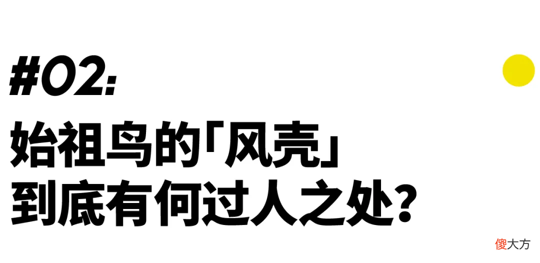 机能风没什么了不起 机能风还有什么