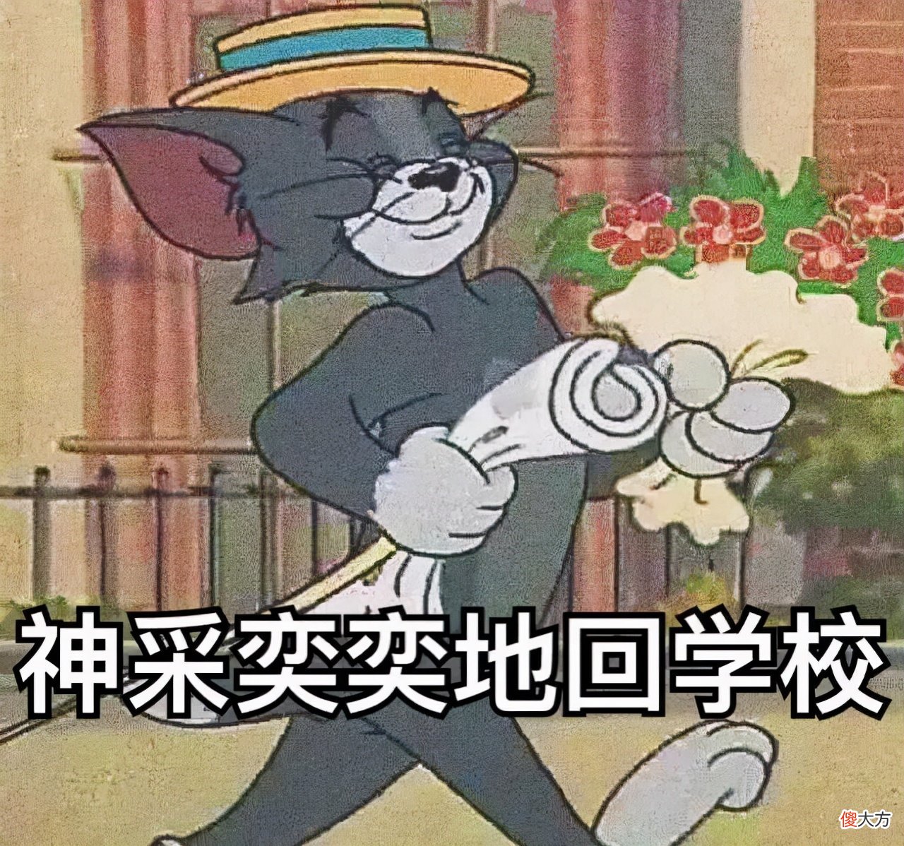 学生党必囤的3款泡面 学生党泡面推荐