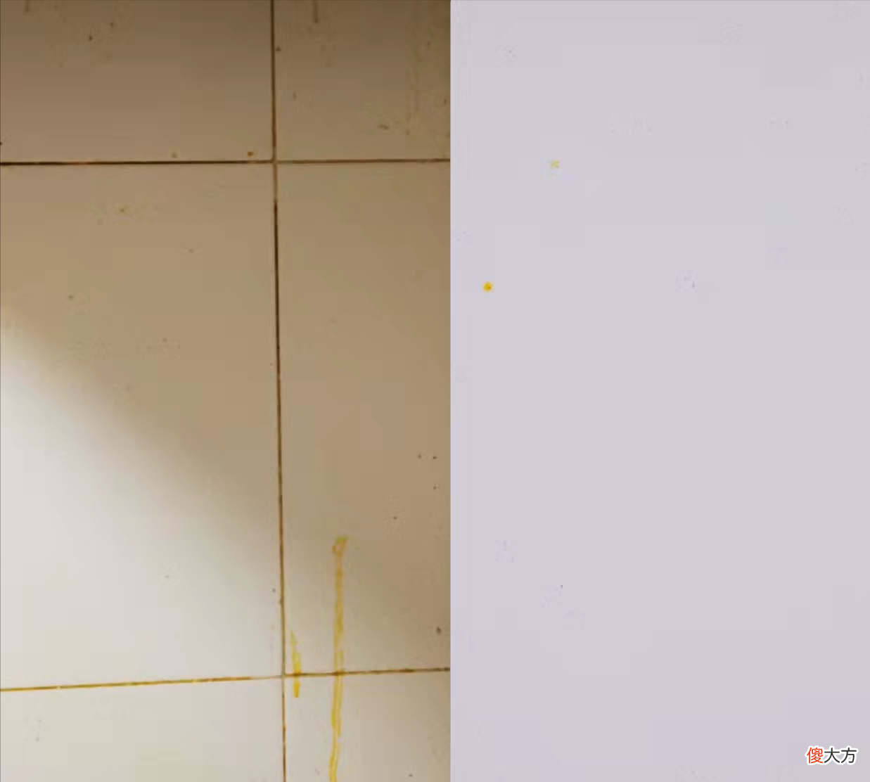 橘子皮的妙用有哪些 橘子皮的妙用有哪些妈妈网