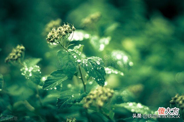 学心理学到底有什么用一起来看 学心理学有什么作用