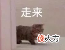 梗百科| 双休变单休 总比没得休好！开心表情包来了