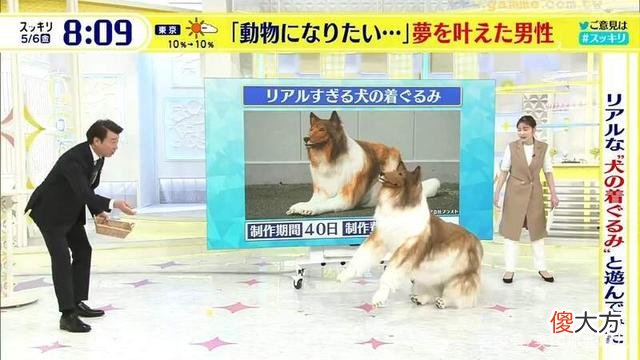 日本男子厌倦做人，砸200万把自己变成“狗”，直接上了电视！