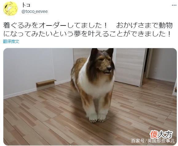 日本男子厌倦做人，砸200万把自己变成“狗”，直接上了电视！