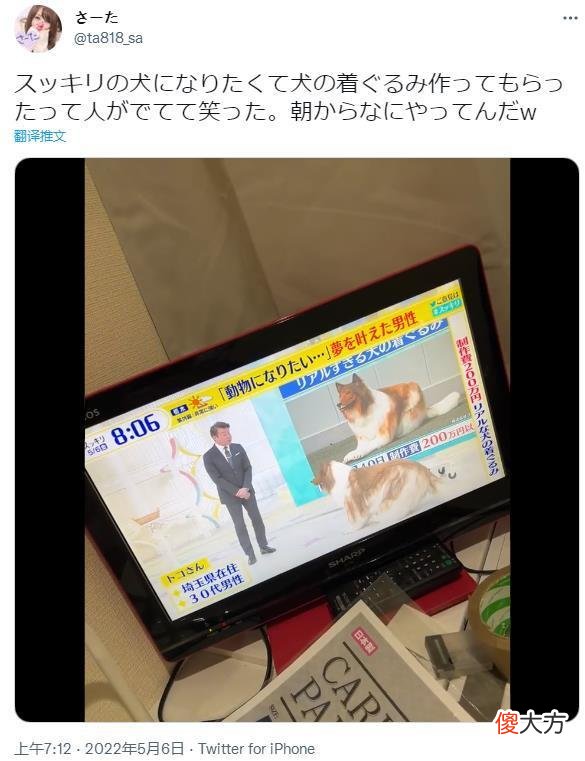 日本男子厌倦做人，砸200万把自己变成“狗”，直接上了电视！
