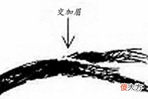 不吉利男人眉毛看相图解