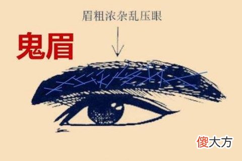 眉压眼的面相分析