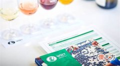 夏日饮“白酒”:新西兰的长相思