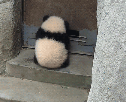 出去玩怎么买机票 旅游机票怎么买