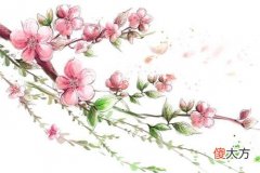属龙人的桃花贵人是谁