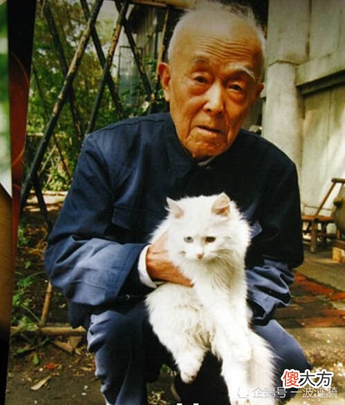 盘点历史上那些爱猫的大作家 爱猫的历史人物