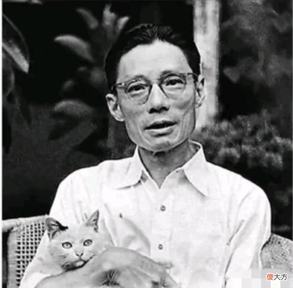 盘点历史上那些爱猫的大作家 爱猫的历史人物