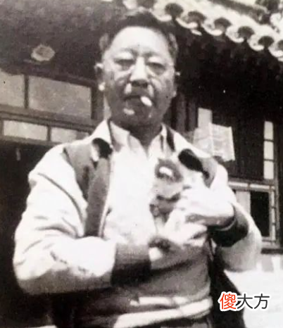 盘点历史上那些爱猫的大作家 爱猫的历史人物