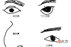 三白眼女人面相和命运分析