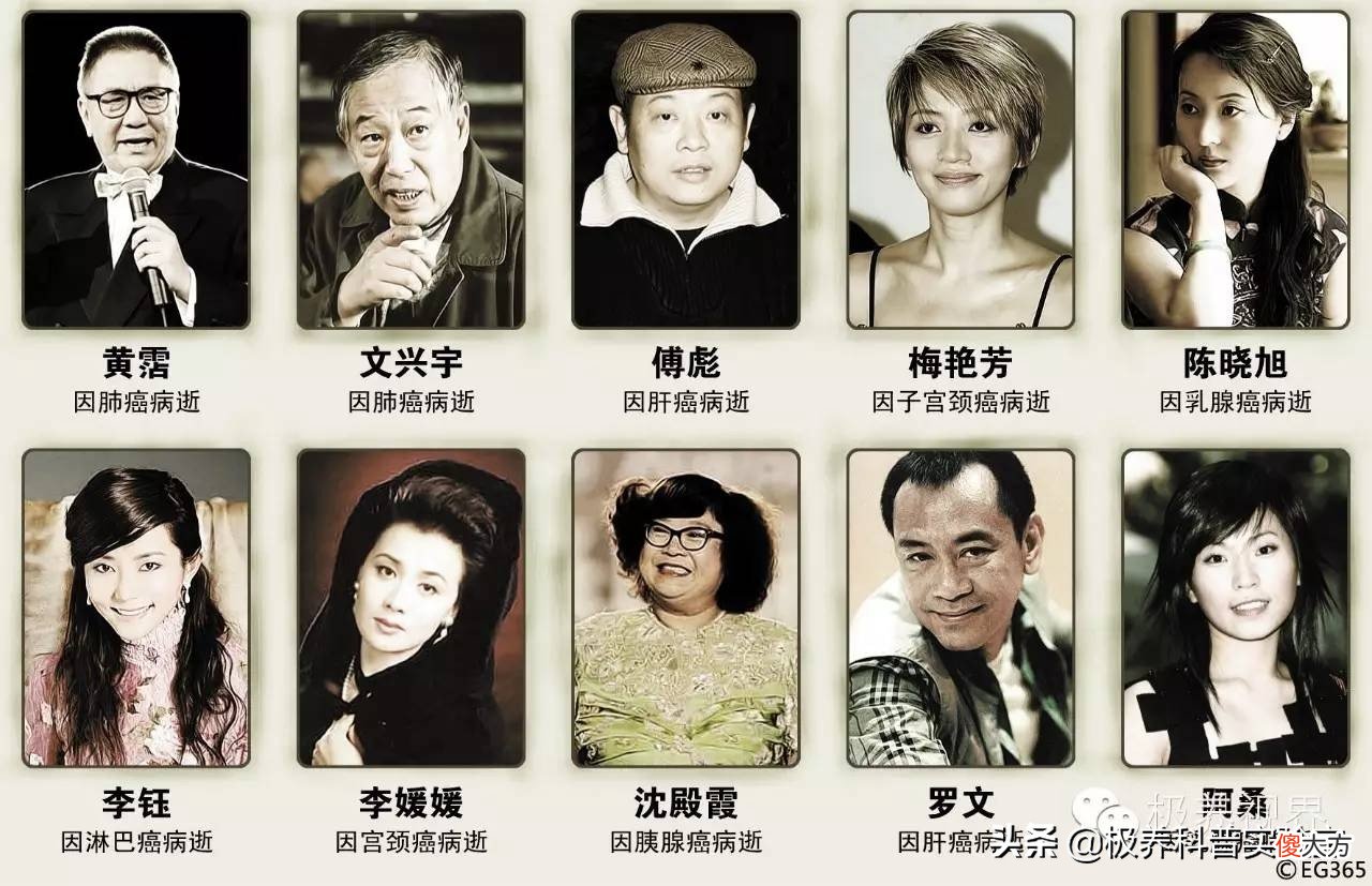 营养可以做什么 做什么有营养