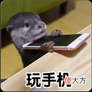 当代的大学生 当代的大学生必须具备极强的