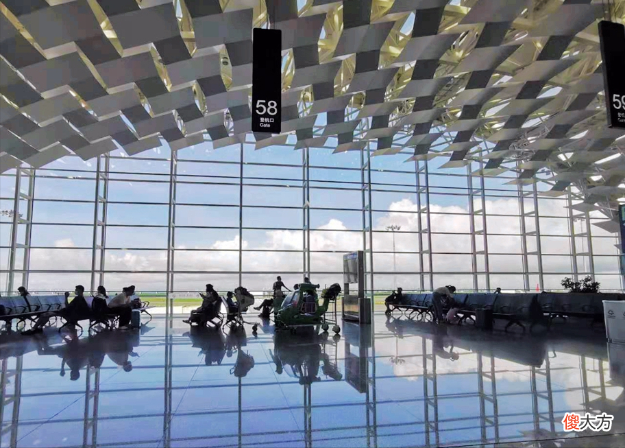 为什么要学空乘专业 为什么学空乘这个专业