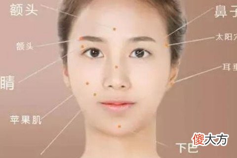面相分析额头饱满的人