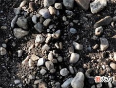 南阳瓶装红酒加盟哪个好 沈阳红酒网