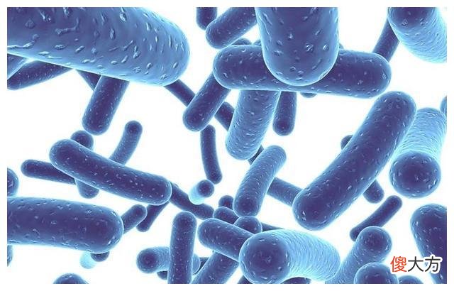 美科学家实验得知：人体中出现不该存在的东西，2022年不容乐观