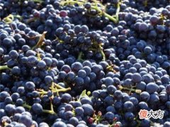 橡木桶的堆放方法