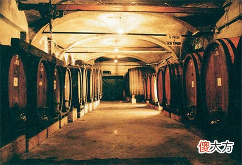 香槟酒是什么类型的葡萄酒 香槟葡萄酒产区视频