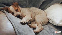 会对身体有什么影响吗 手冲会对身体有什么影响吗