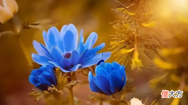 人老了，不管是穷是富，也别为子女做这些事