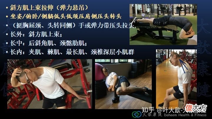 颈部疼痛与斜方肌损伤 斜方肌和颈部疼痛是怎么回事