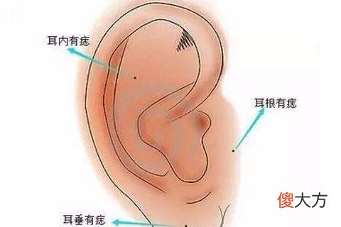 面相分析男人耳朵大代表什么