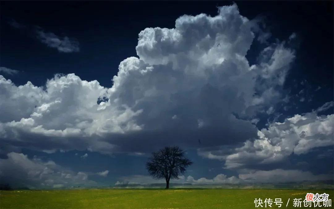 【十二星座】5月，红鸾星闪动，爱情逢大运，桃花相随，将告别单身折磨的生肖