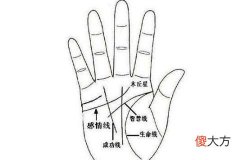 女人哪种手相好