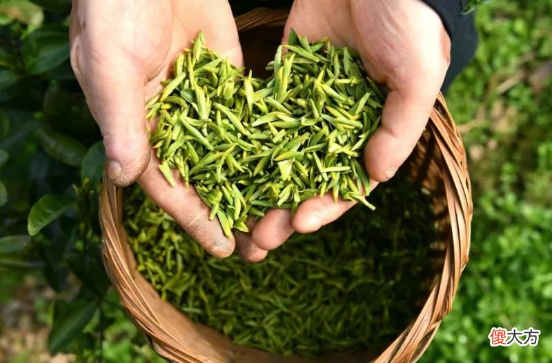 常喝绿茶有哪些好处 喝绿茶都有哪些好处