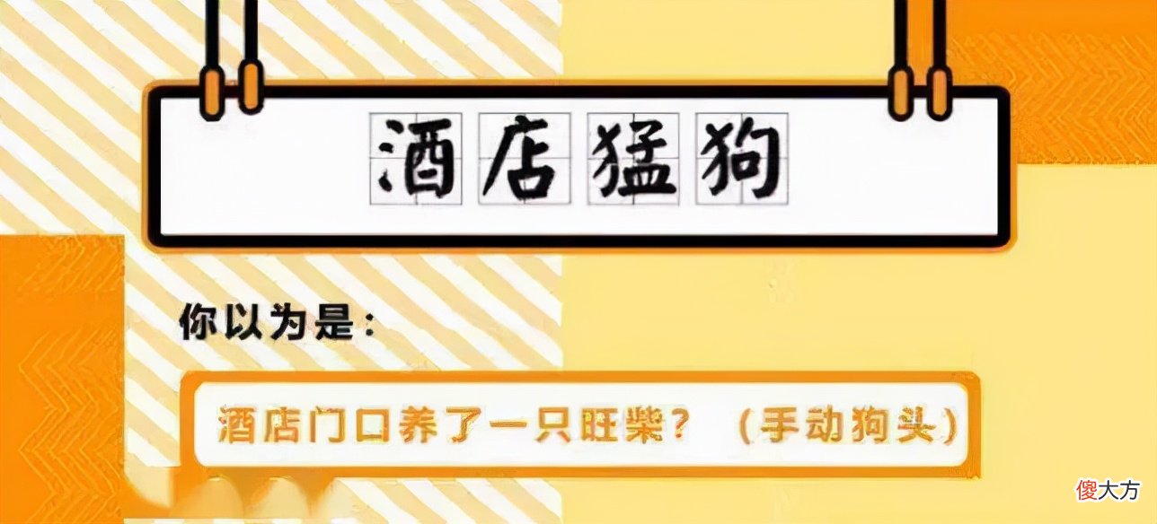 数学里面的加减乘除竟然也是成语 加减乘除为什么是成语