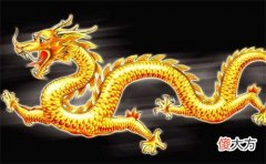属龙的名人和明星