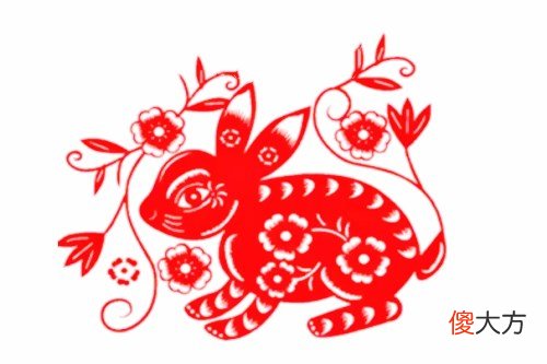 土兔几月出生命好