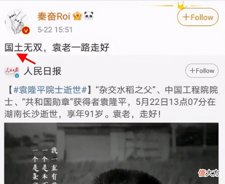 这几位明星的悼念错别字 明星悼念袁老错字百出