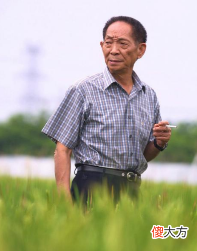 这几位明星的悼念错别字 明星悼念袁老错字百出