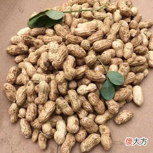 水煮花生好吃 水煮花生好吃还是蒜香花生