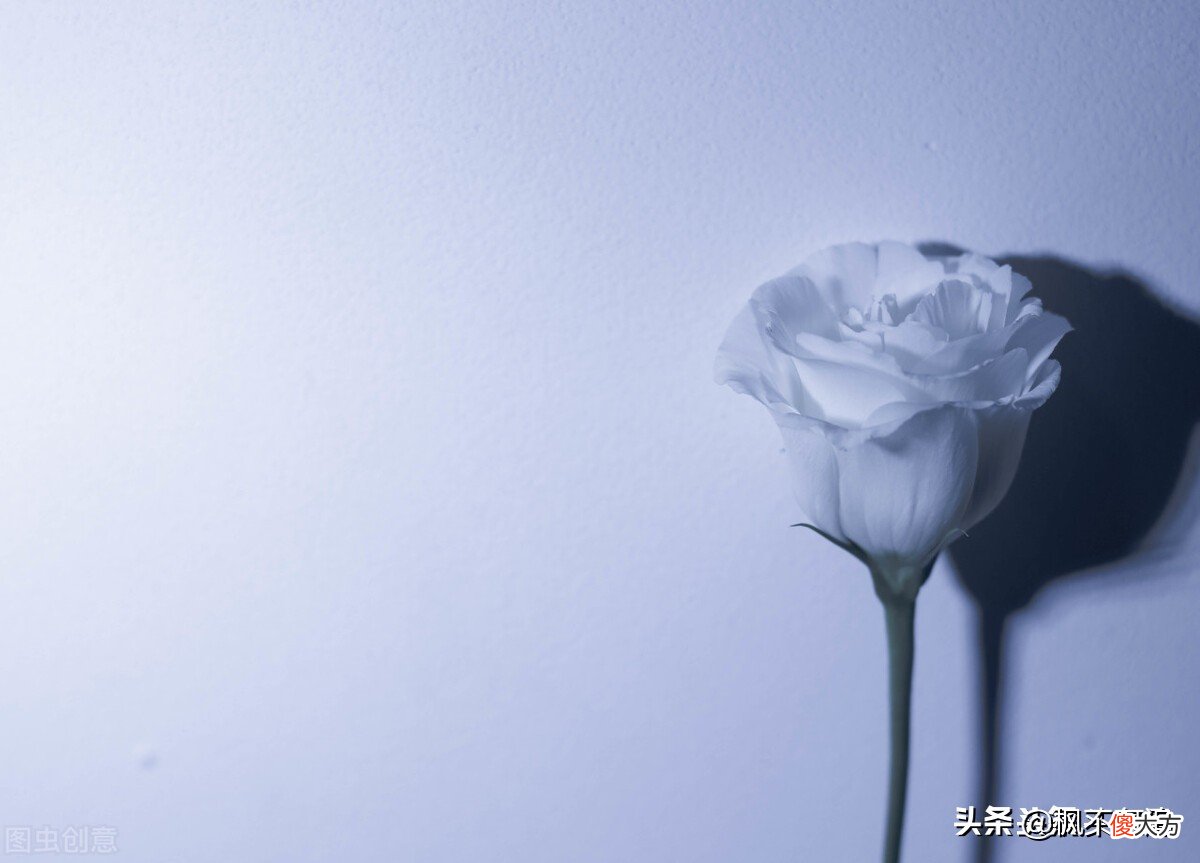 那些令人充满伤感的歌词 让人伤感的歌词